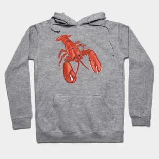 Cute Lobster Drawing Hoodie